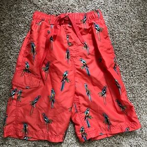 Orange Parot pattern boys swim trunks